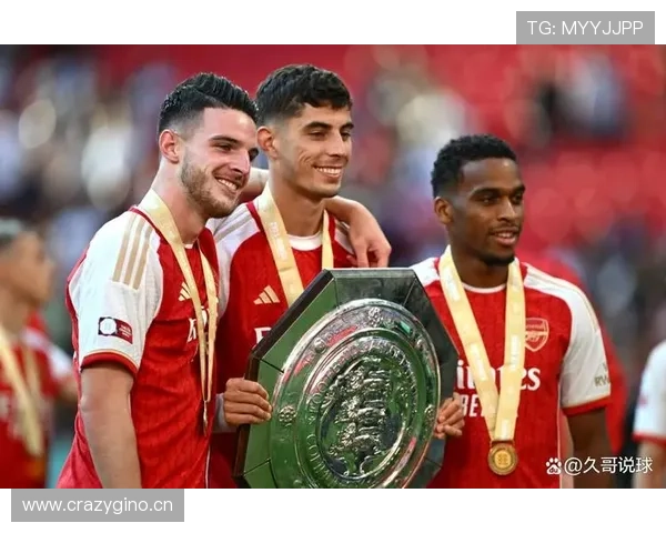 帕利尼亚 vs 赖斯：覆盖能力与全面性的对比