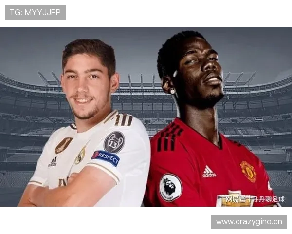 巴尔韦德B2B全能覆盖能力解析 巴尔韦德B2B全能覆盖能力解析