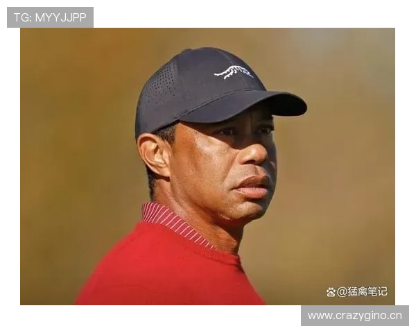 泰格伍兹车库里的豪车比我家房子还多，这日子也太让人羡慕了吧