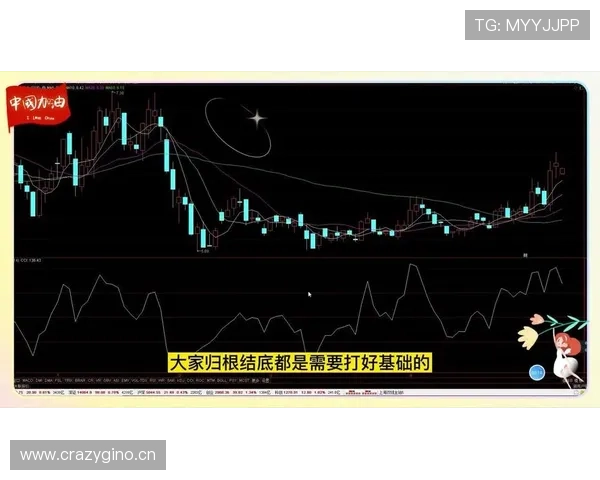 后场规则在比赛中如何判定与执行？